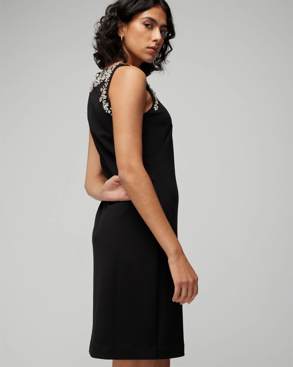 Petite Sleeveless Embellished Neck Shift Dress